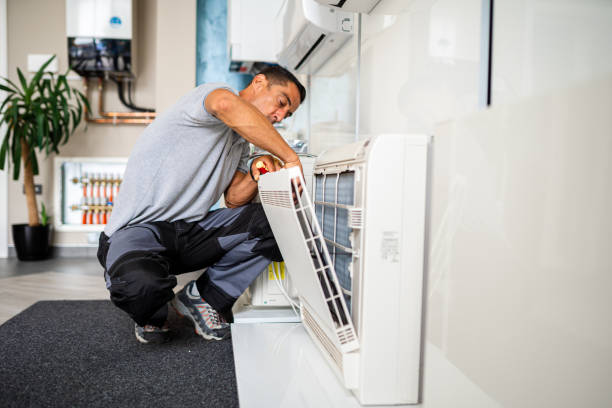 Best Residential Air Duct Cleaning  in Lovelock, NV