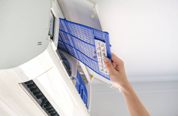 Best Affordable Duct Cleaning Services  in Lovelock, NV