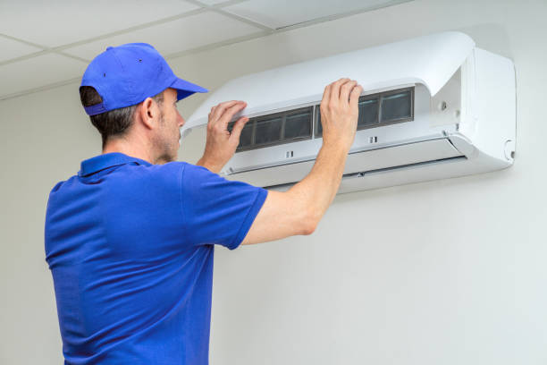 Best Residential Air Duct Cleaning  in Lovelock, NV