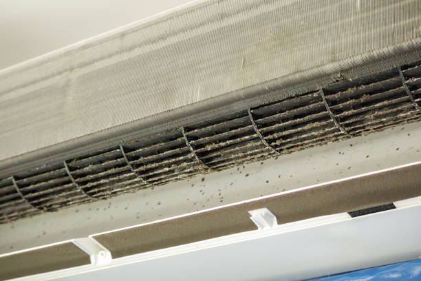  Lovelock, NV Airduct Cleaning Pros