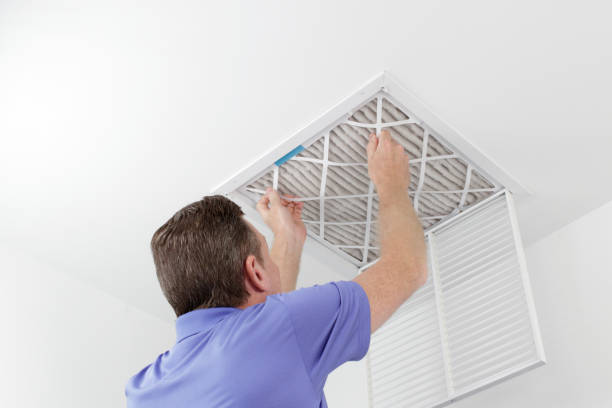 Best Ductwork Cleaning Services  in Lovelock, NV
